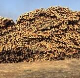 1520669847635788.jpg QQ截圖20180310162700.jpg